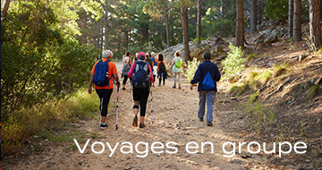 Voyages en groupe