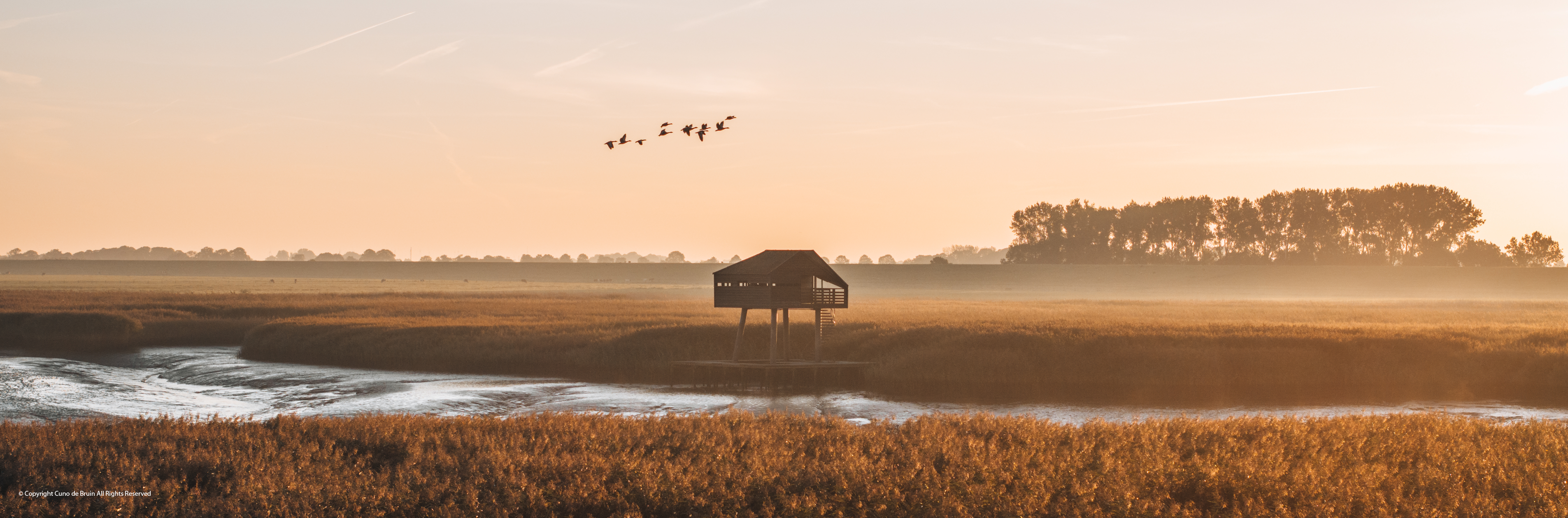 Nederland