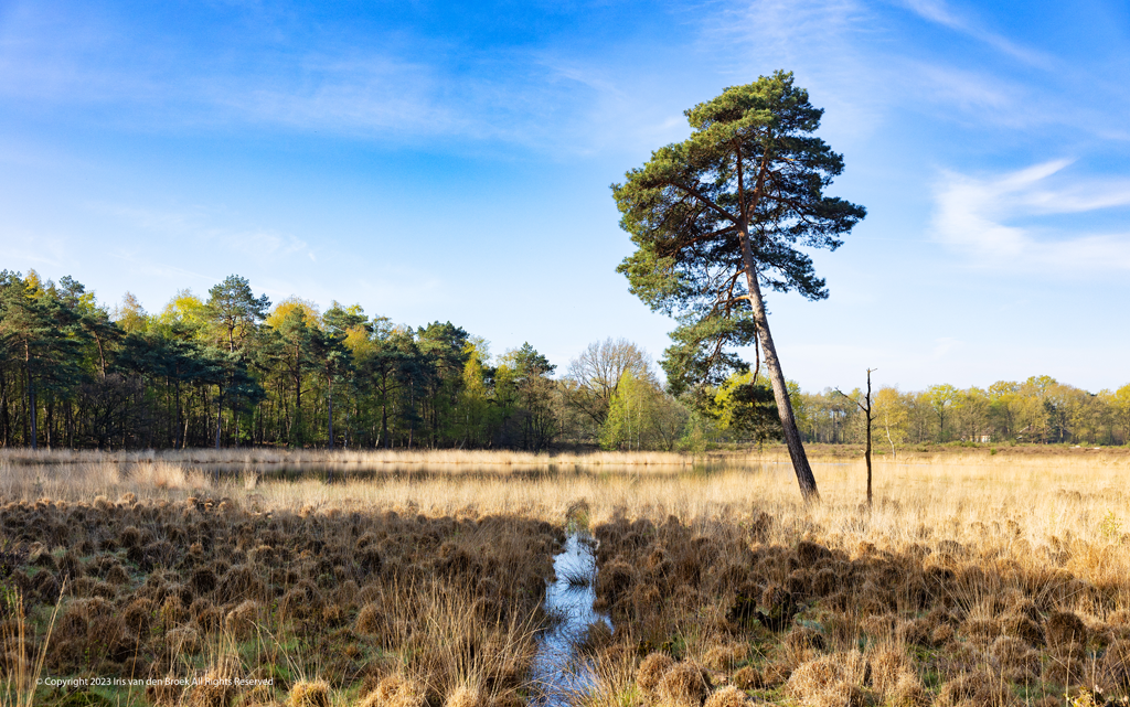 Noord-Brabant